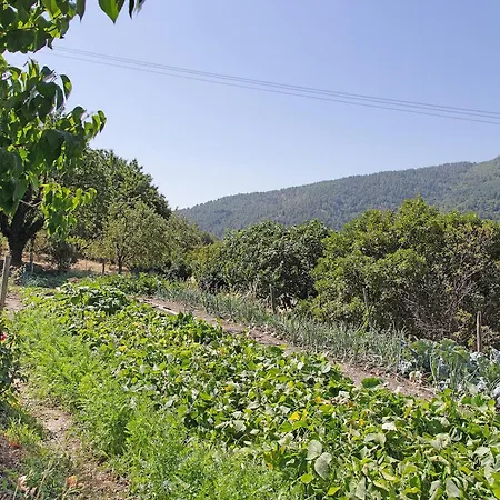 Et Table D'hotes De Vernet Bed & Breakfast 3*